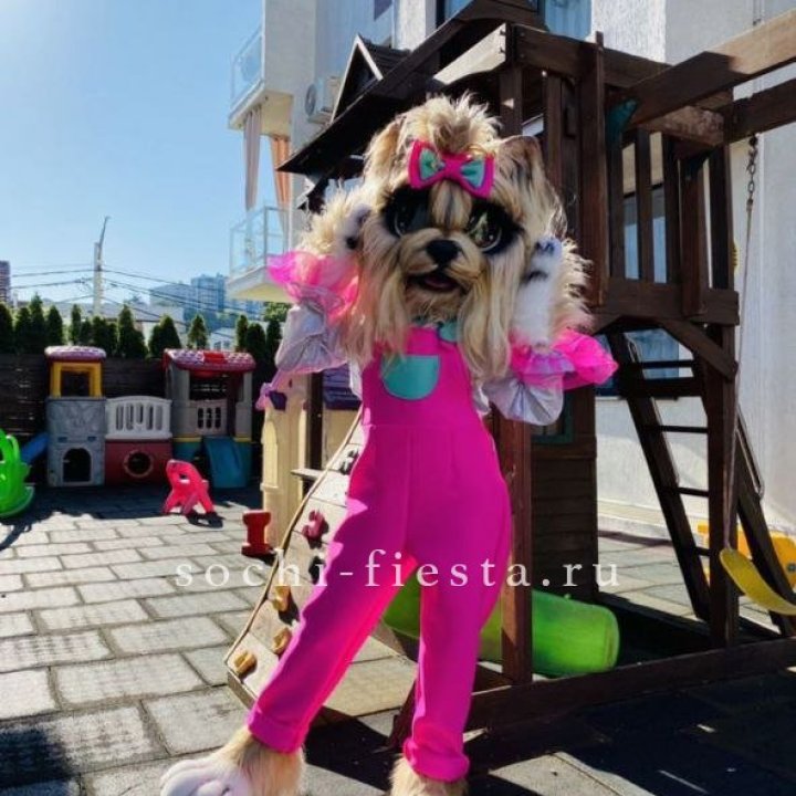 Аниматор Гламурная Собака в Белгороде