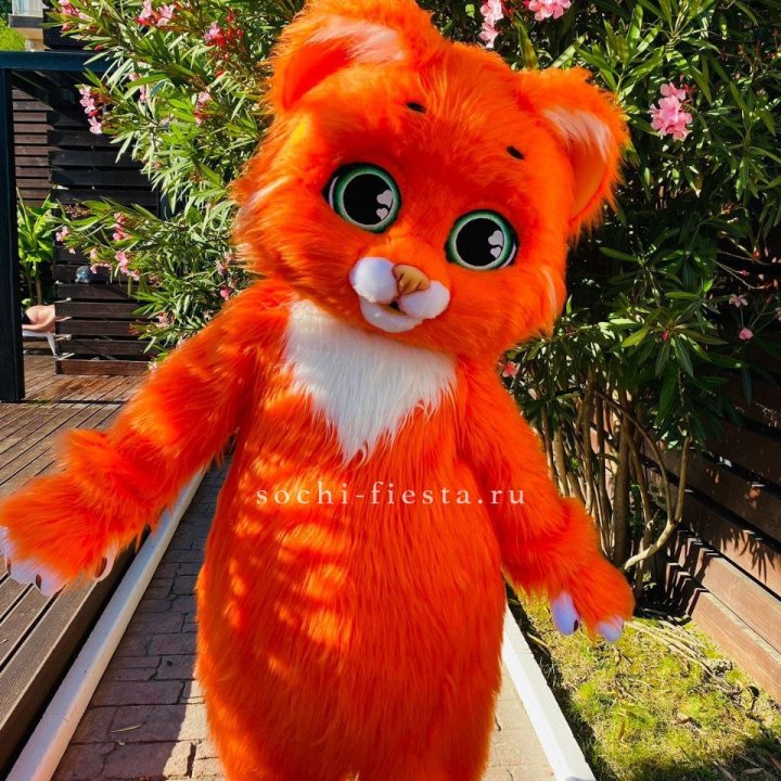 Аниматор Котик в Белгороде