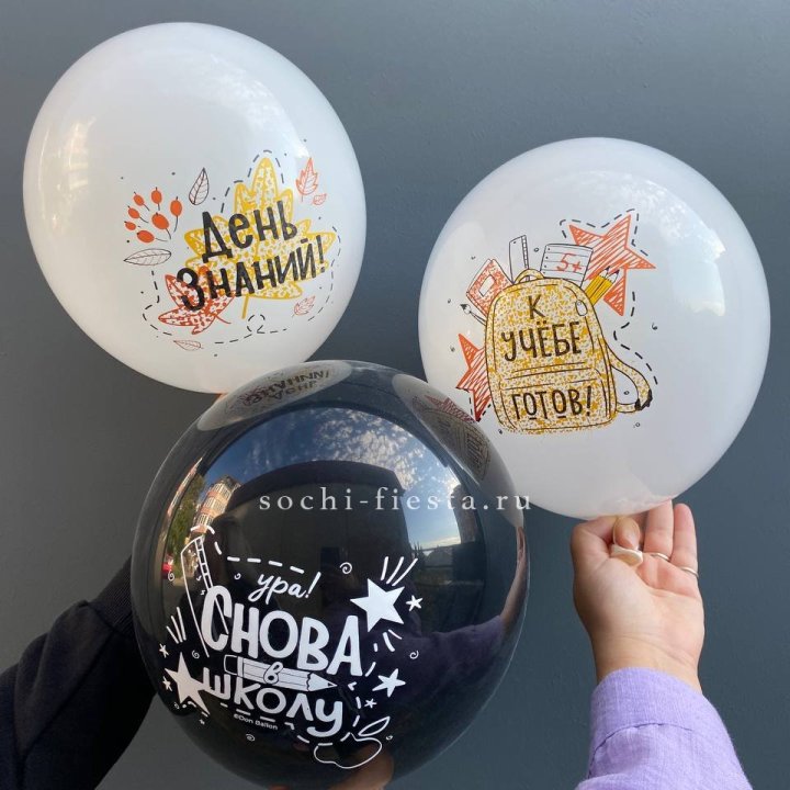 Воздушный шар к 1 сентября в Белгороде