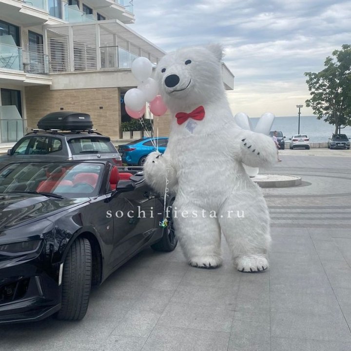 Аниматор Белый Медведь в Белгороде