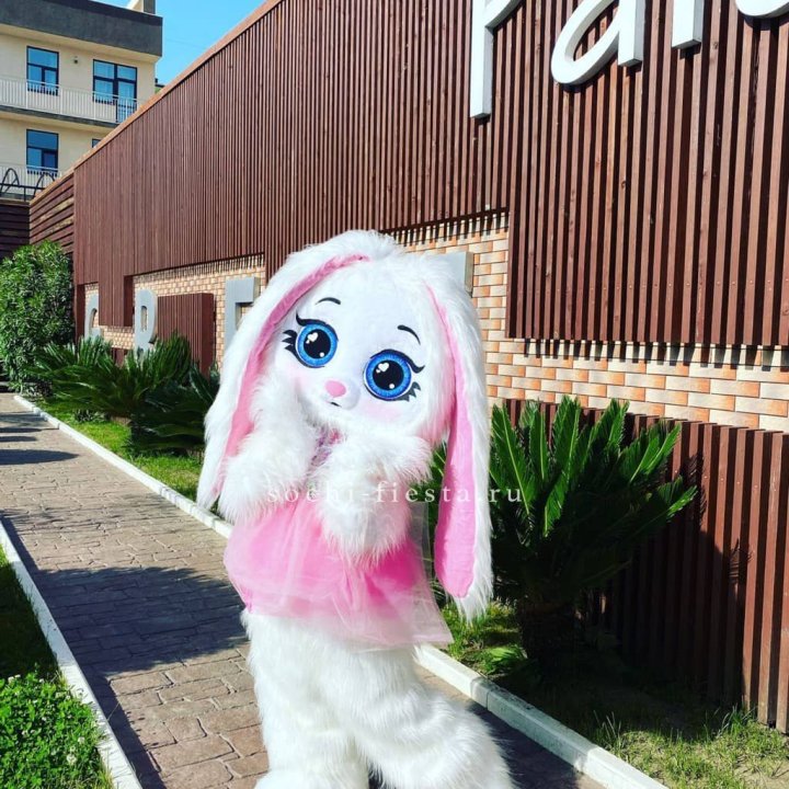 Аниматор Зайка в Белгороде