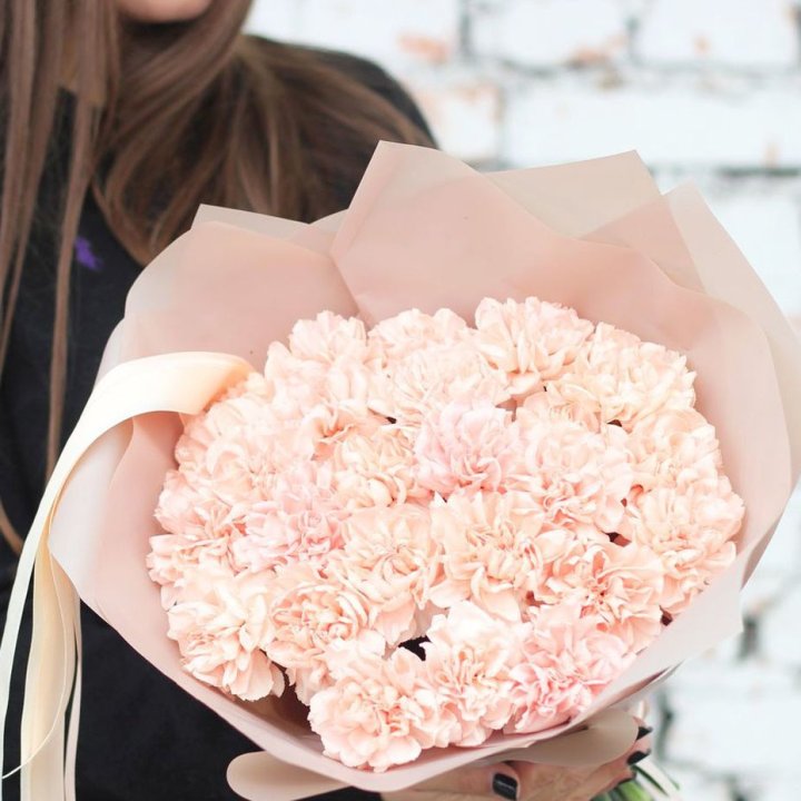 Диантусы №2 в Белгороде