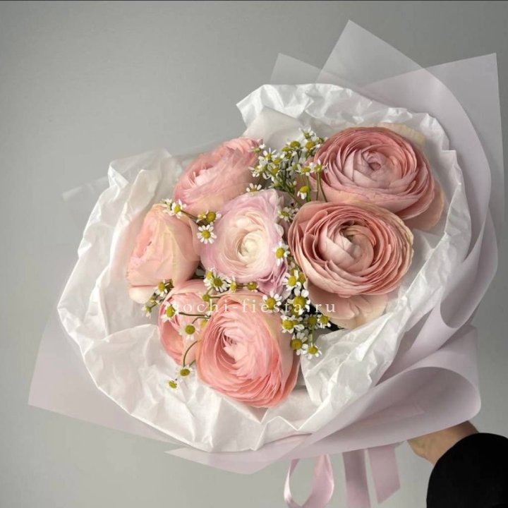 Ранункулюсы с ромашками в Белгороде