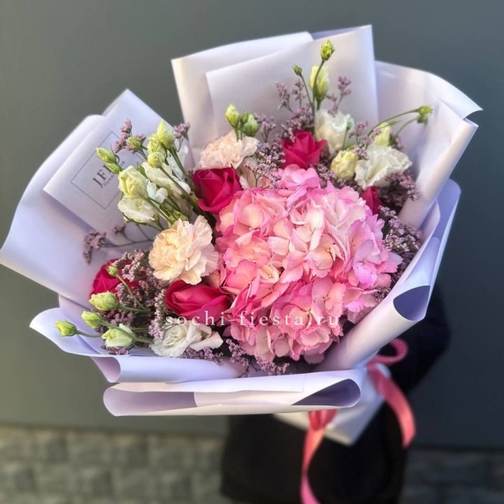 Гортензия "Перпил" в Белгороде