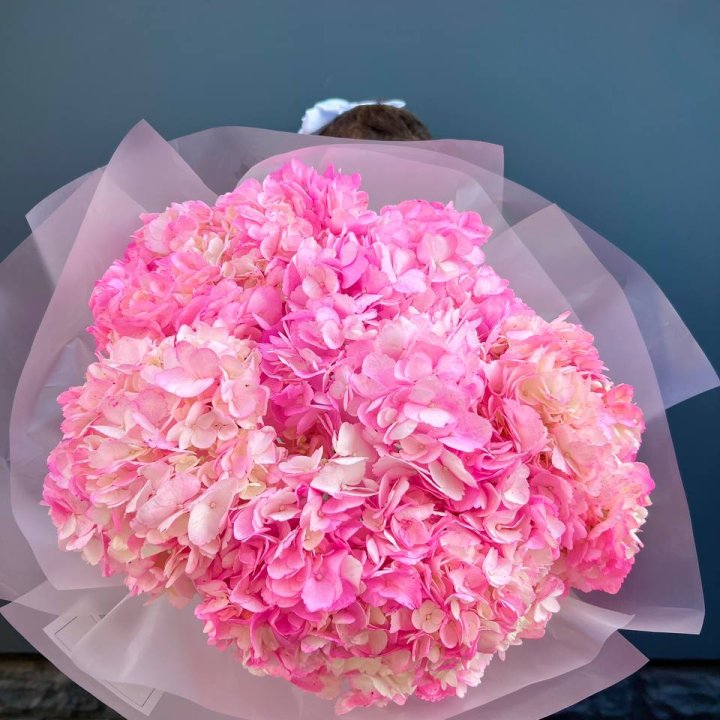 9 ярко розовых гортензий в Белгороде