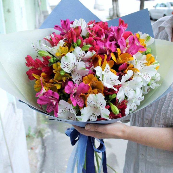 Микс альстромерий в Белгороде