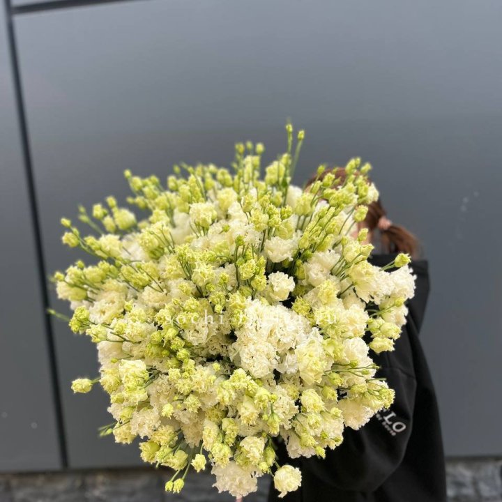 51 белая эустома в Белгороде