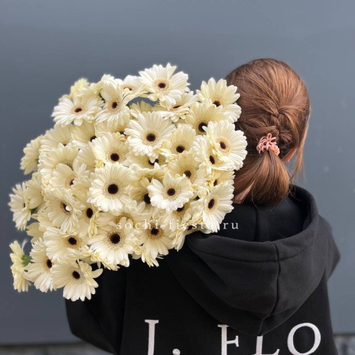 51 гербера в Белгороде