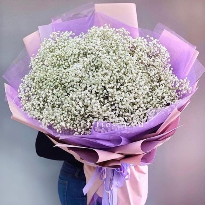 Облако белых гипсофил в Белгороде