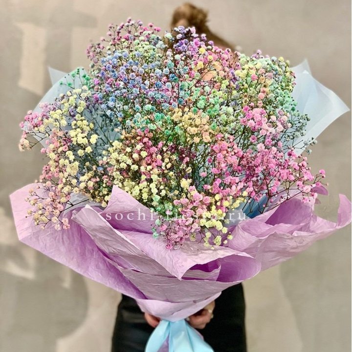 Радужные гипсофилы №2 в Белгороде