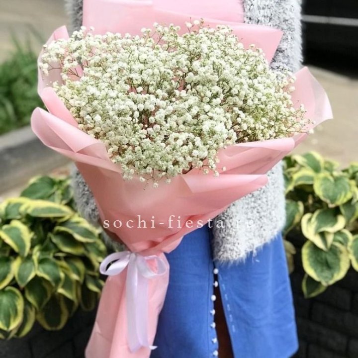 Белоснежные гипсофилы в Белгороде