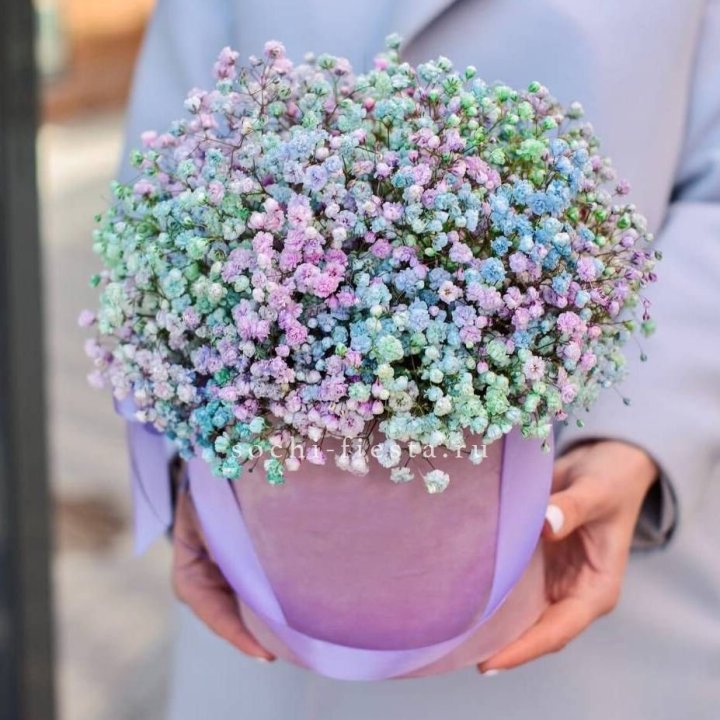 Гипсофилы в шляпной коробке "Кандилайт" в Белгороде