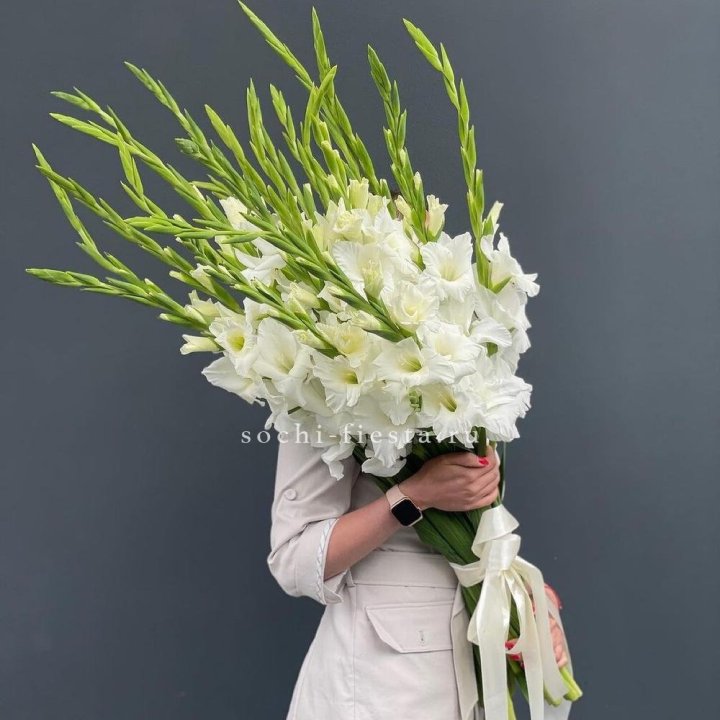 19 белых гладиолусов под ленту в Белгороде