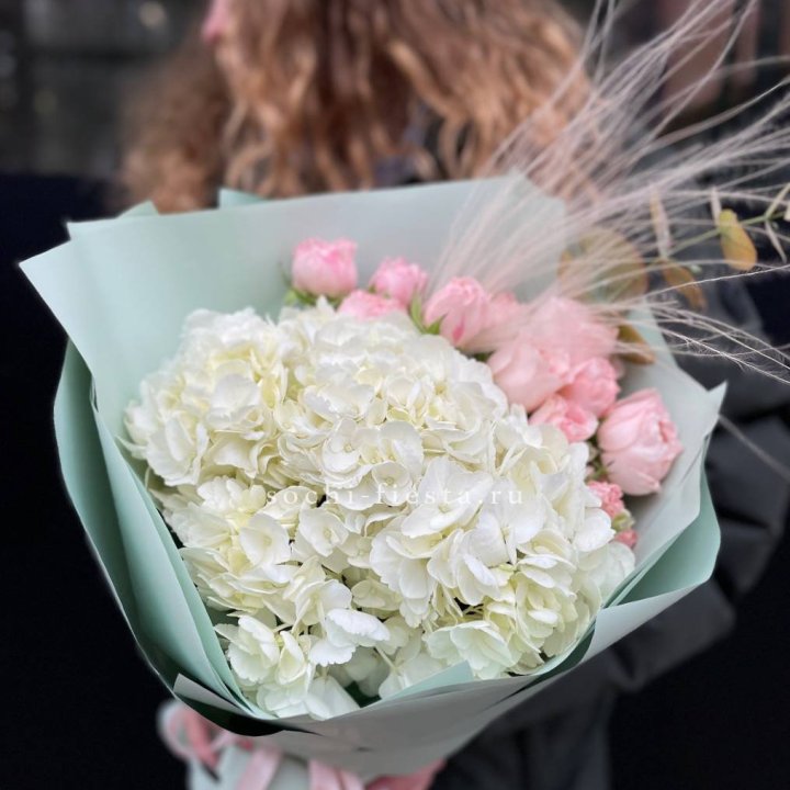 Гортензия "Жасмин" в Белгороде