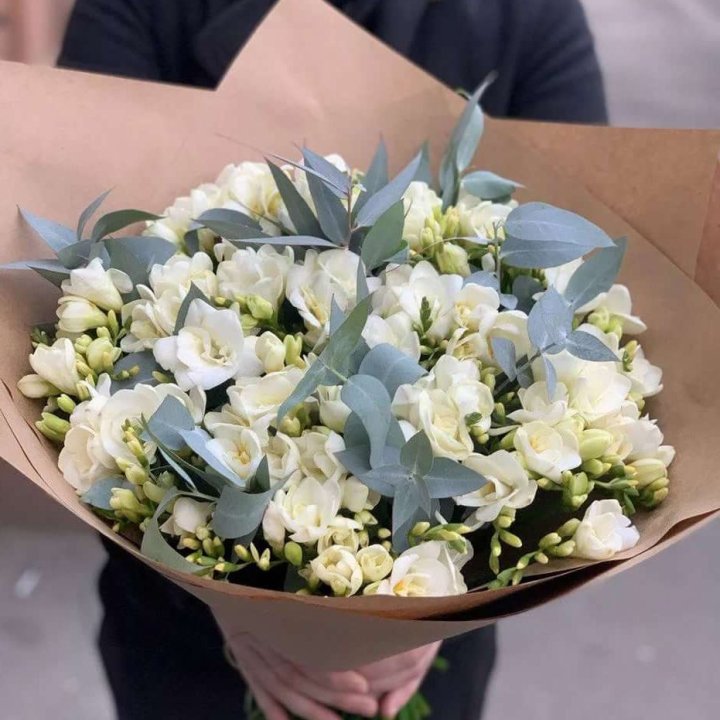 51 фрезия с эвкалиптом в Белгороде