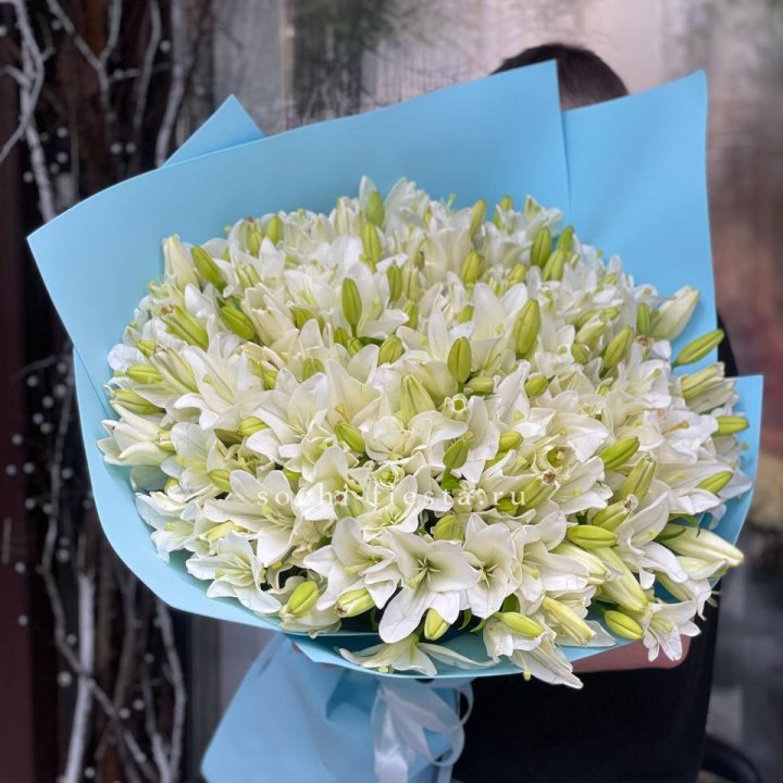 51 лилия в оформлении в Белгороде