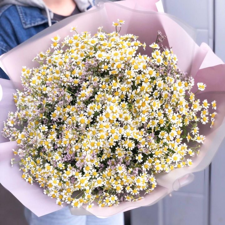 Букет ромашек №1 в Белгороде