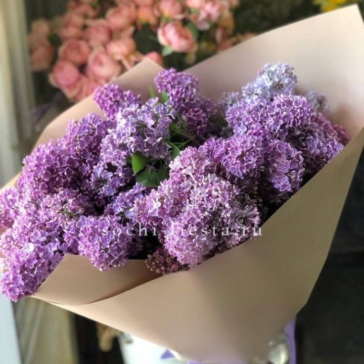 Букет сирени №2 в Белгороде