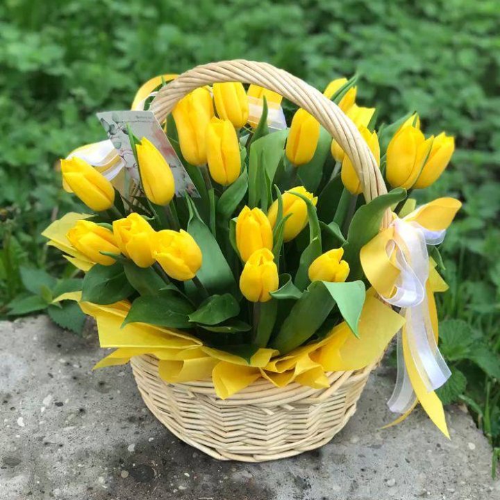 25 желтых тюльпанов в корзине в Белгороде