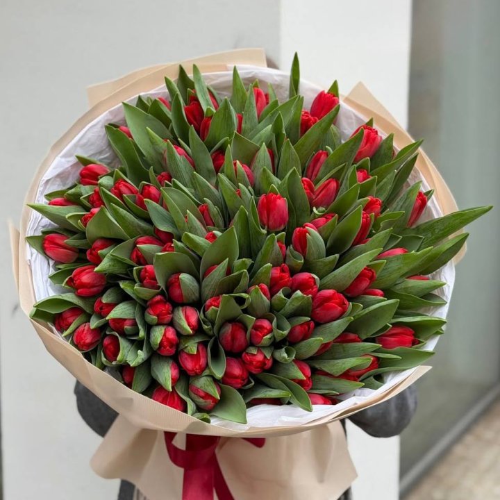 101 красный тюльпан в Белгороде