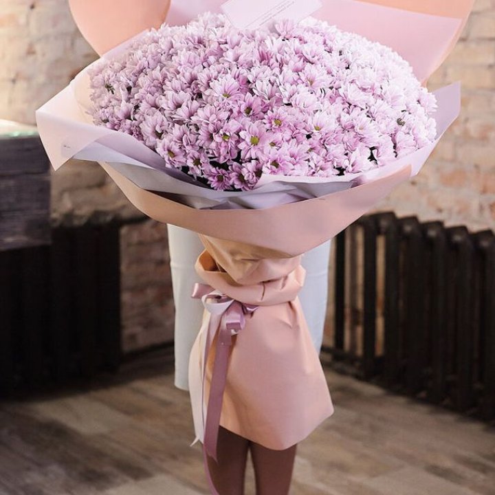 Облако хризантем №1 в Белгороде