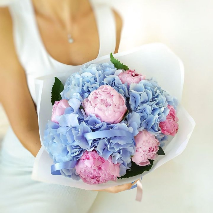 Гортензия и Пионы в Белгороде