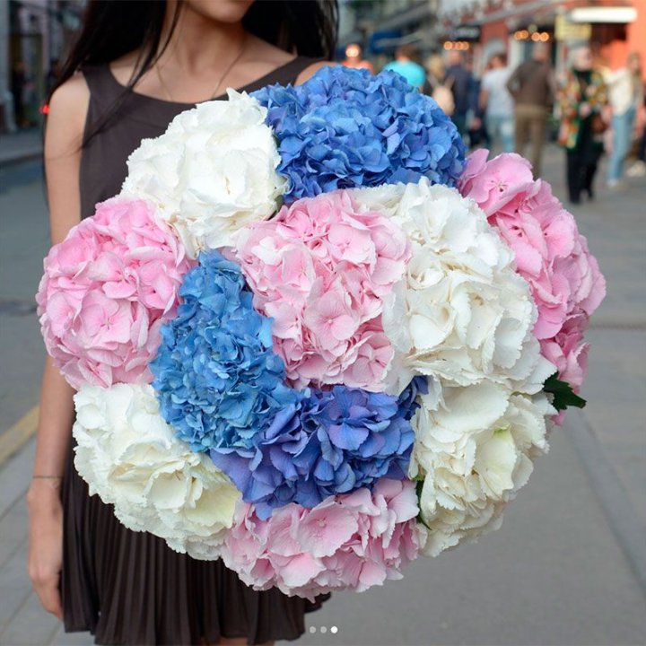 Букет гортензий "Инь-Янь" в Белгороде