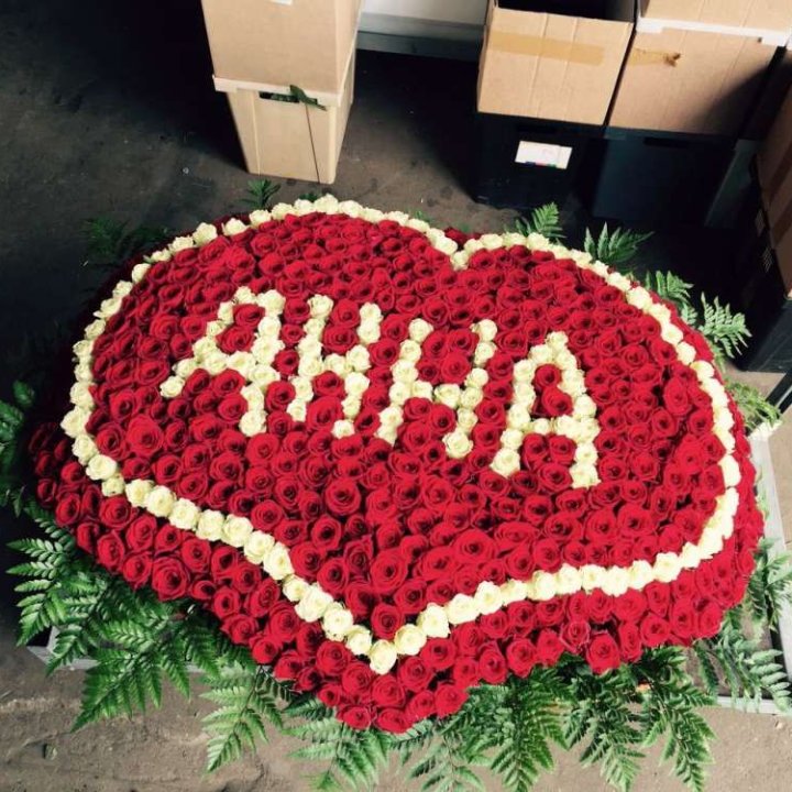 555 роз с именем в Белгороде