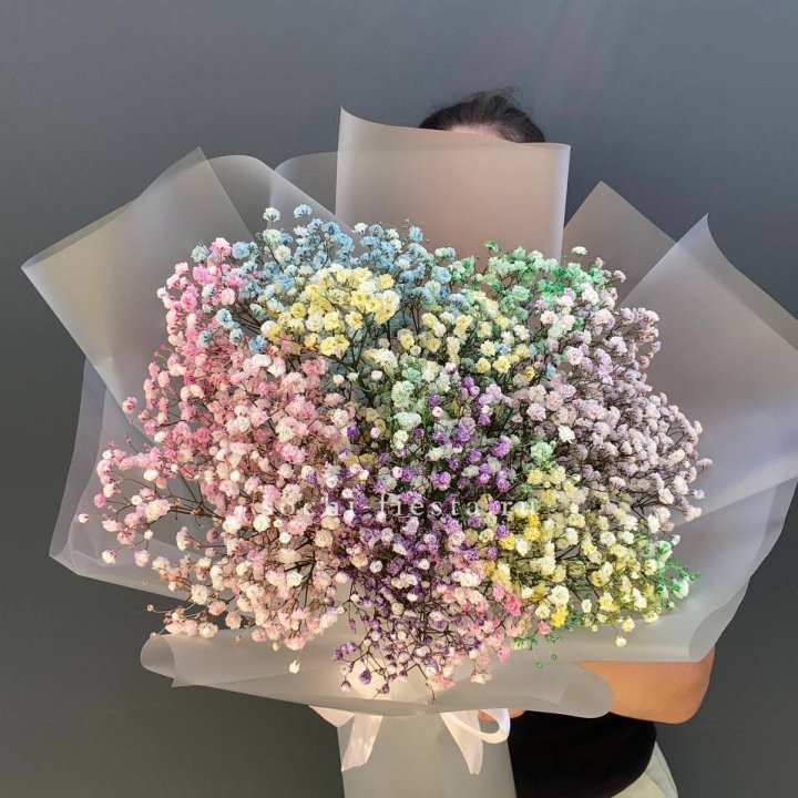 Радужные гипсофилы  в Белгороде