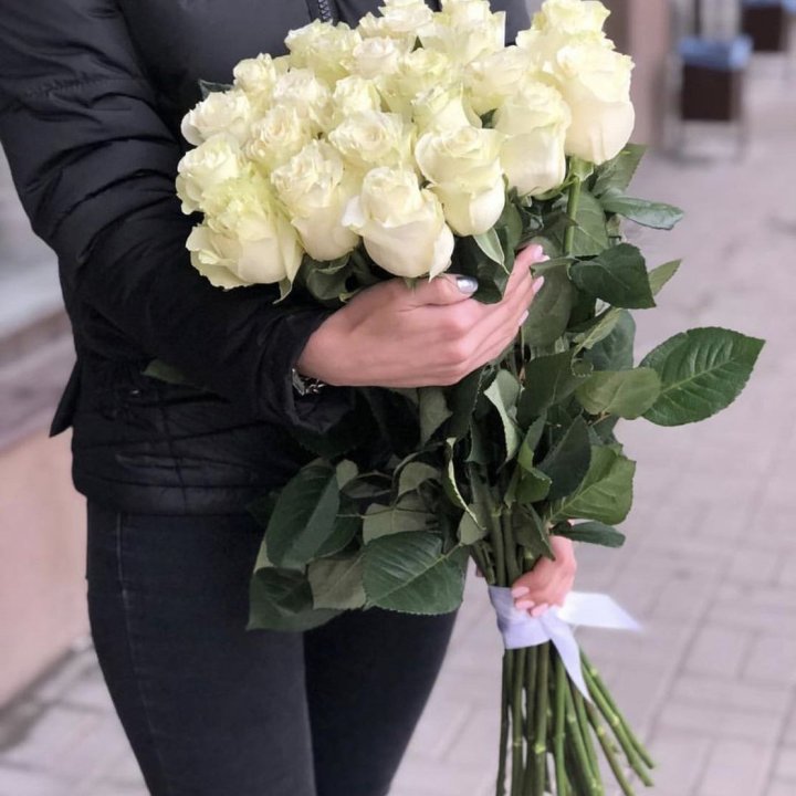 Голландские розы белые в Белгороде