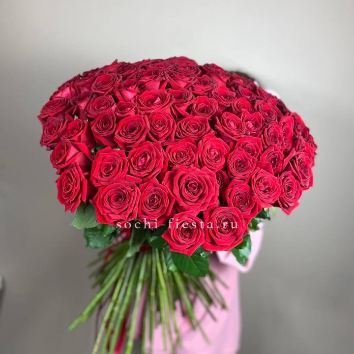 101  голландская роза  в Белгороде