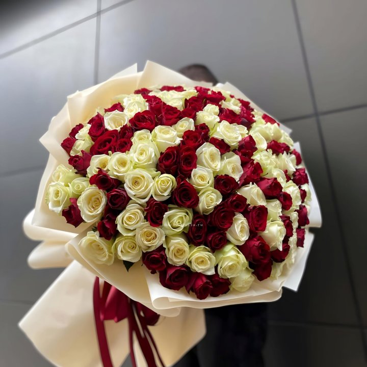 101 высокая импортная роза  в Белгороде