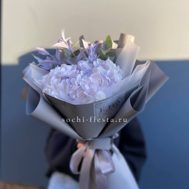 Гортензия "Виолета" в Белгороде