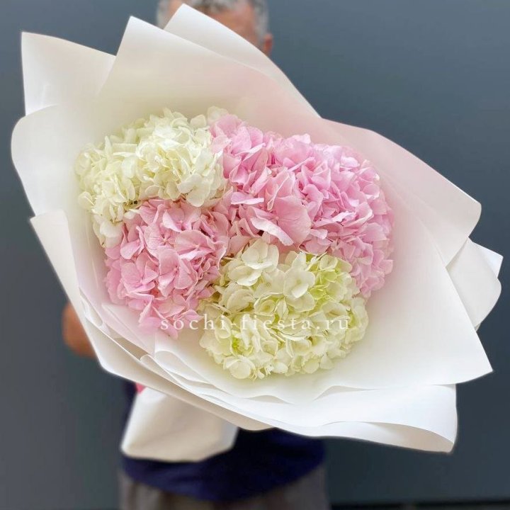 Букет гортензий №5 в Белгороде