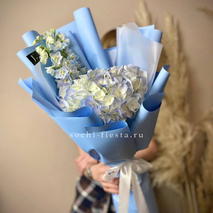 Гортензия "Блю скай" в Белгороде