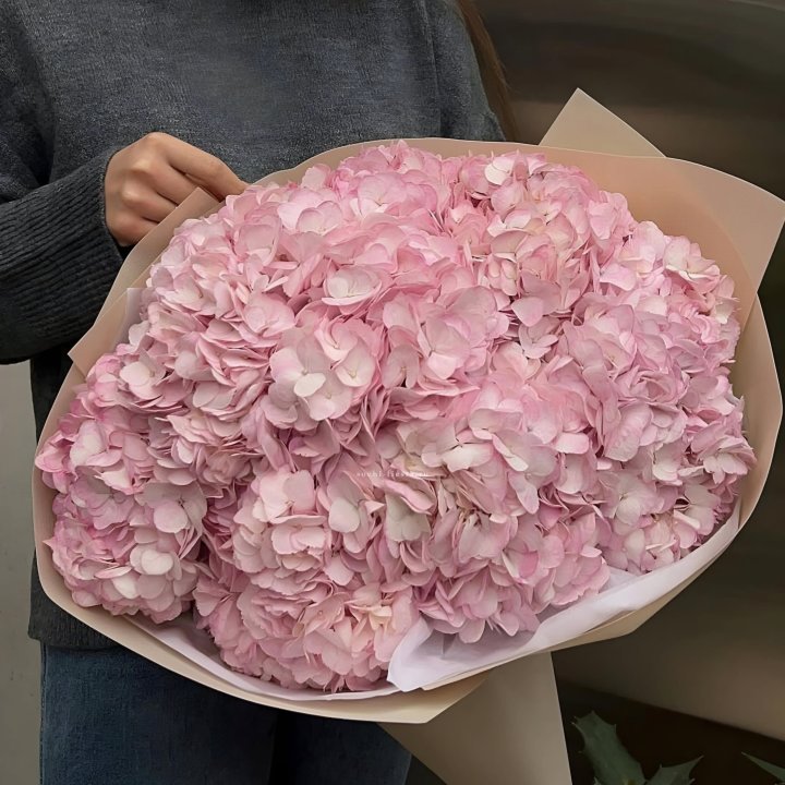 Гортензия  "РОЗЕ" в Белгороде