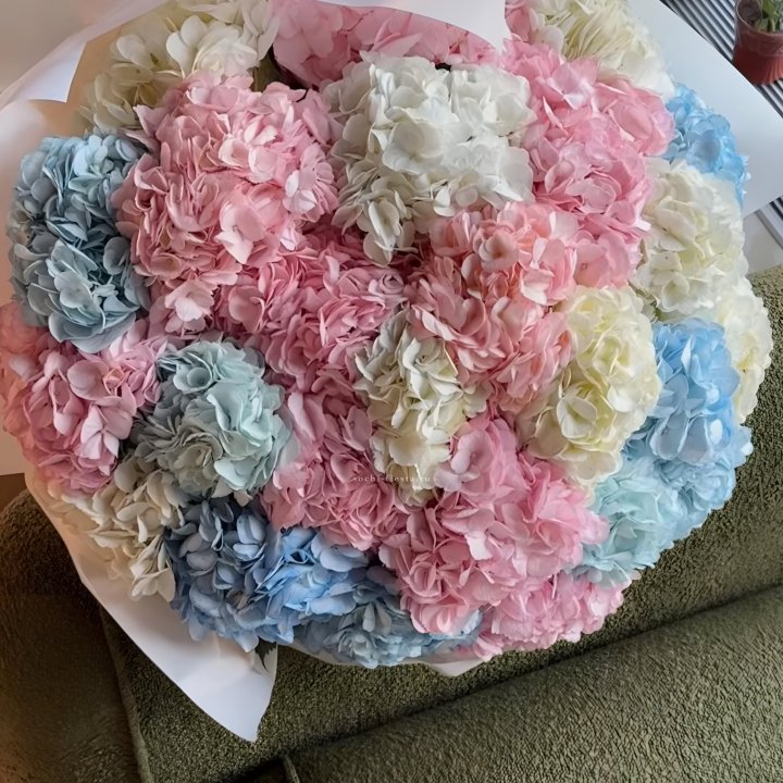 Букет гортензий микс в Белгороде