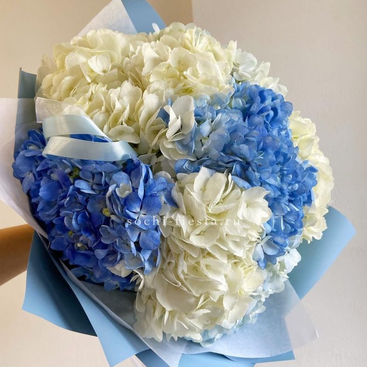 Букет гортензий "Голубая лаза" в Белгороде