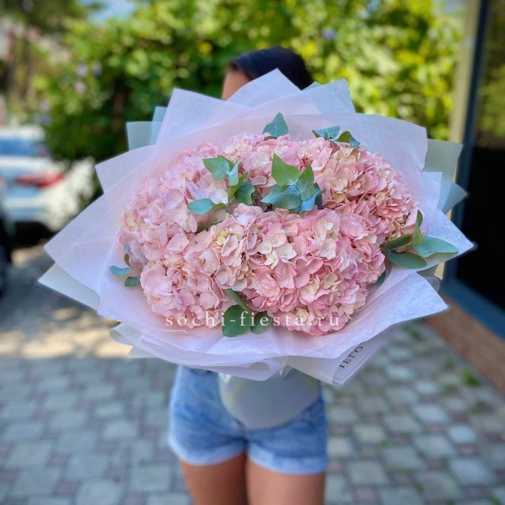 5 розовых гортензий  в Белгороде
