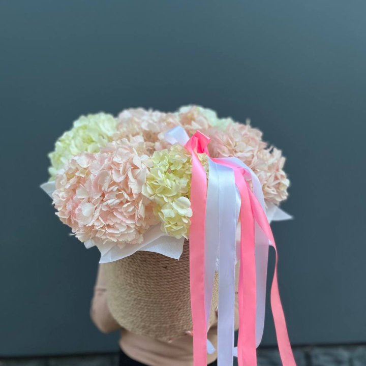 7 гортензий в кашпо в Белгороде