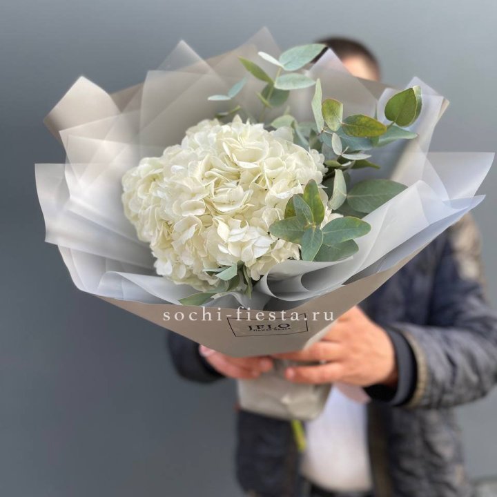 Букет  из белой гортензии в Белгороде
