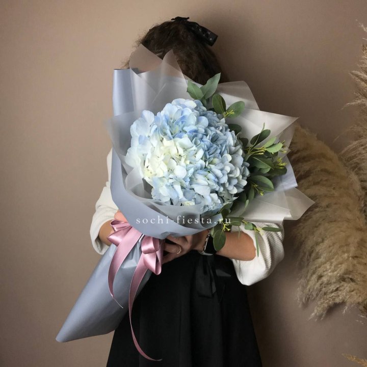 Гортензия Уно в Белгороде