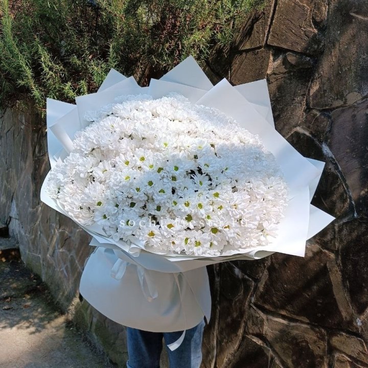 Облако хризантем №2 в Белгороде