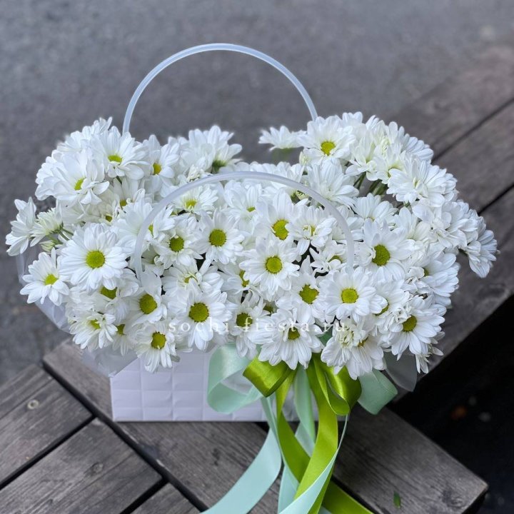 Сумка с хризантемами ромашками в Белгороде