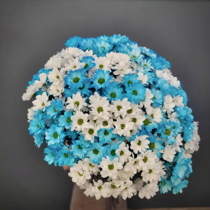  Букет хризантем микс в Белгороде