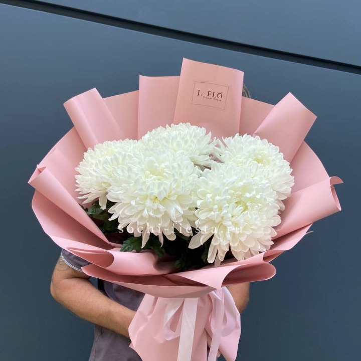 Профитроли №2 в Белгороде