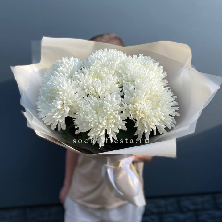 Профитроли в Белгороде