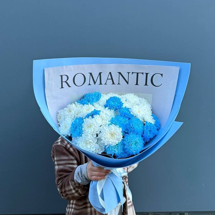 Дуо хризантем в Белгороде