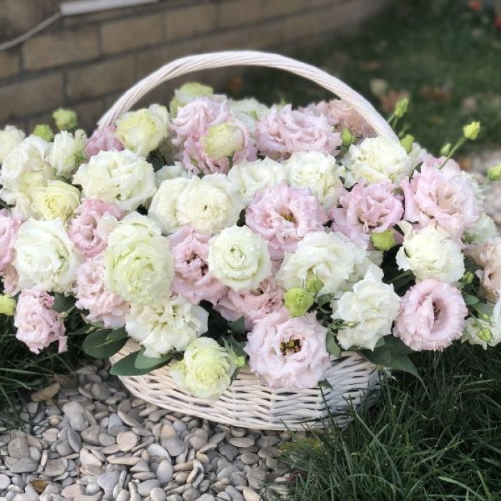 Корзина с эустомой в Белгороде