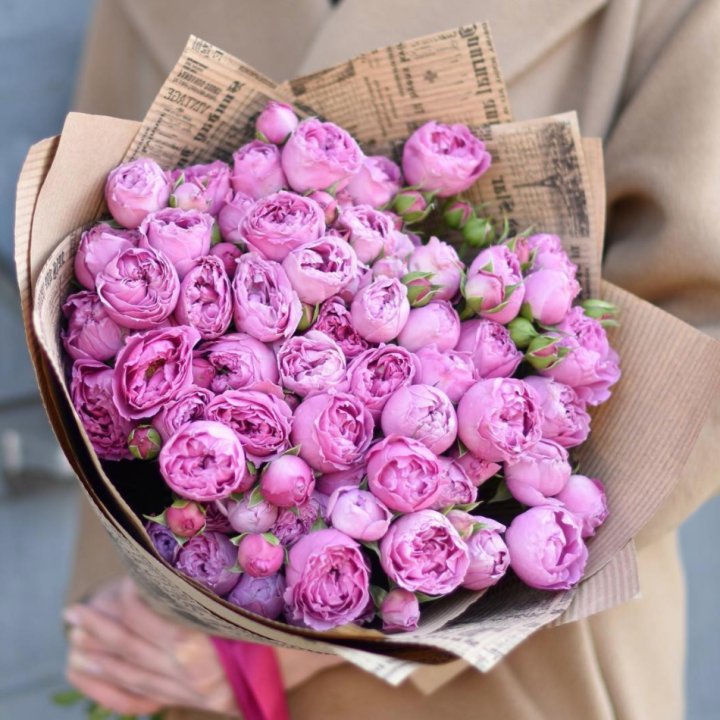 Роза Мисти Баблс в Белгороде